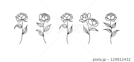 Elegant line art of flowers arranged in a row, showcasing natural beauty and simplicity in design 129912432