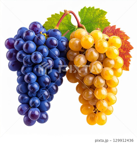 Two Bunches of Ripe Grapes with Green Leaves in Close Up Studio Shot Still Life 129912436