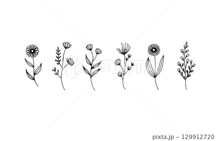 Delicate Line Botanicals. Fine-line botanical illustrations with small leaves and rounded blossoms for elegant natural compositions. 129912720