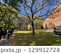 ハーバード大学の美しいキャンパス 129912728