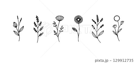 Delicate Floral Outline. Thin line floral elements in a hand-drawn style, ideal for subtle botanical patterns or minimalistic nature-themed designs. 129912735