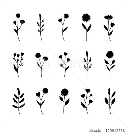 Delicate Line Botanicals. Fine-line botanical illustrations with small leaves and rounded blossoms for elegant natural compositions. 129912738