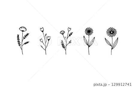 Delicate Line Botanicals. Fine-line botanical illustrations with small leaves and rounded blossoms for elegant natural compositions. Delicate Line Botanicals. Fine-line botanical illustrations with small leaves and rounded blossoms for elegant natural compositions. 129912741