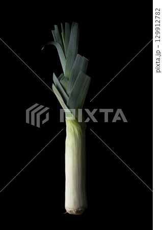 ポロネギ ポロネギ 129912782