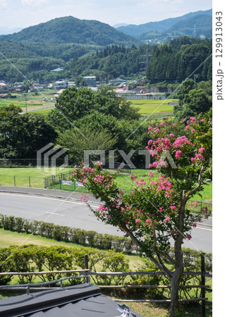 道の駅中山盆地の展望台の丘に咲くサルスベリ　群馬県高山村 129913043