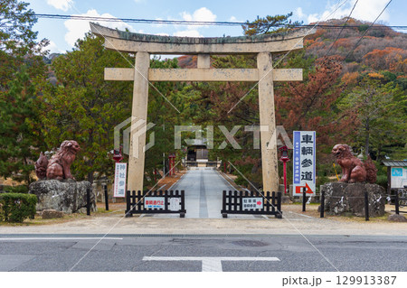 冬の岡山県岡山市　吉備津彦神社　参道 129913387