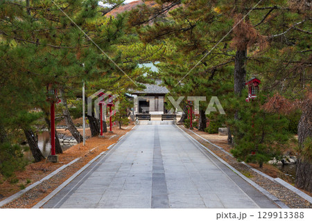 冬の岡山県岡山市　吉備津彦神社　参道 129913388