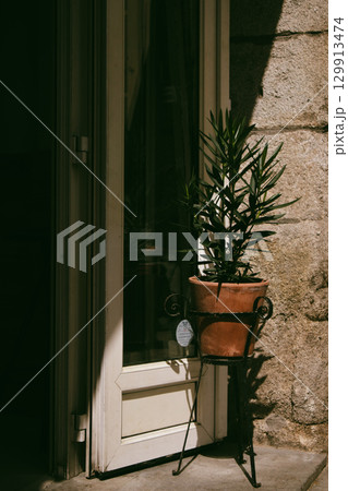 An outdoor scene with a potted plant on a decorative metal stand next to an open door. A plant on a decorative stand sits beside a sunlit doorway enhancing the architectural charm of the stone facade. 129913474