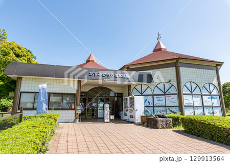 茨城県かすみがうら市 霞ヶ浦に生息する生物を展示する施設 かすみがうら市水族館 茨城県かすみがうら市 霞ヶ浦に生息する生物を展示する施設 かすみがうら市水族館 129913564