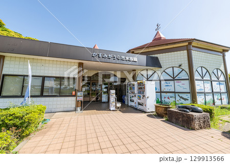 茨城県かすみがうら市　霞ヶ浦に生息する生物を展示する施設　かすみがうら市水族館 129913566