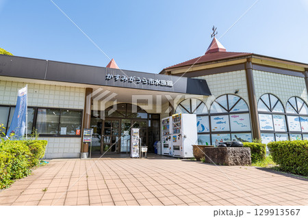 茨城県かすみがうら市 霞ヶ浦に生息する生物を展示する施設 かすみがうら市水族館 茨城県かすみがうら市 霞ヶ浦に生息する生物を展示する施設 かすみがうら市水族館 129913567