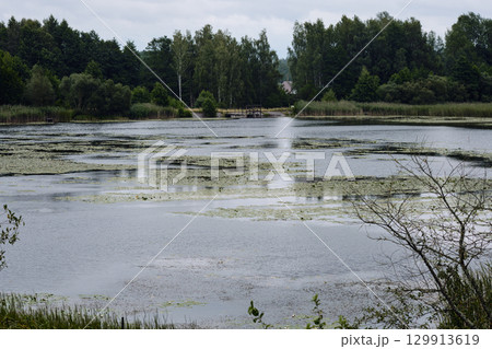 Tranquil waters reflect the overcast sky in a serene lakeside landscape surrounded by trees 129913619