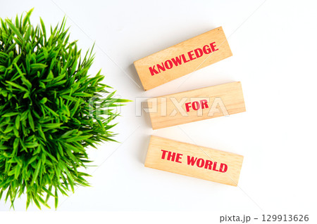 Concepts of business organizations and industries. KNOWLEDGE FOR THE WORLD made of wooden blocks on white background with green plant, top view Concepts of business organizations and industries. KNOWLEDGE FOR THE WORLD made of wooden blocks on white background with green plant, top view 129913626