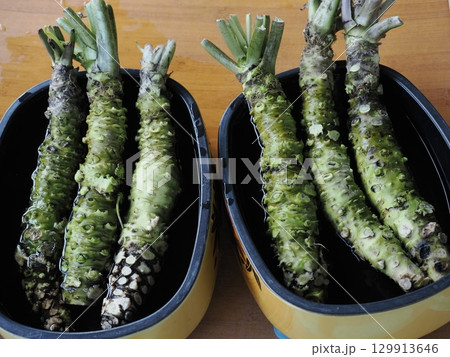 最高級のわさび 129913646