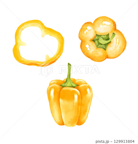Hand-drawn illustration set of yellow bell peppers. Includes a whole pepper, a half and a slice. 129913804
