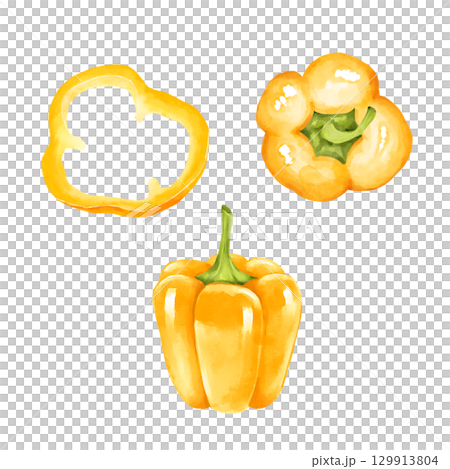 Hand-drawn illustration set of yellow bell peppers. Includes a whole pepper, a half and a slice. 129913804