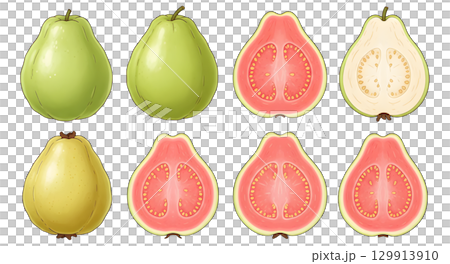 Set of guava fruit cartoon design. 129913910