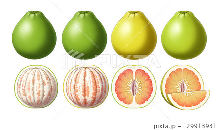 Set of pomelo fruit cartoon design. 129913931