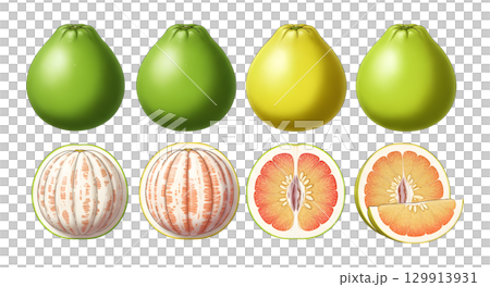 Set of pomelo fruit cartoon design. 129913931