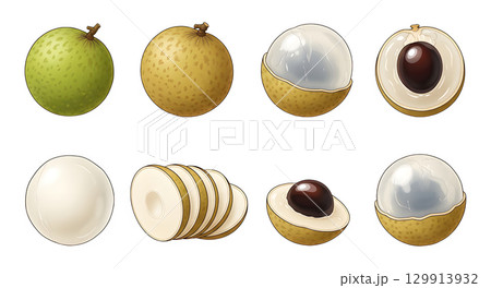Set of longan fruit cartoon design. 129913932