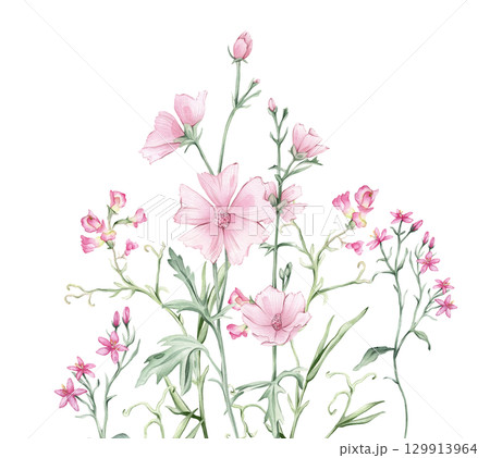 Watercolor floral composition Pink meadow flowers illustration - wildflowers bouquet set. Summer Marshmallow and Mouse Pea flowers. Greetings, wallpapers, fashion, wrapping. Hand drawn illustration. Watercolor floral composition Pink meadow flowers illustration - wildflowers bouquet set. Summer Marshmallow and Mouse Pea flowers. Greetings, wallpapers, fashion, wrapping. Hand drawn illustration. 129913964