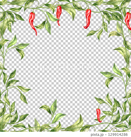 Hand-drawn illustration of a frame with red chili peppers, green leaves, and winding stems Hand-drawn illustration of a frame with red chili peppers, green leaves, and winding stems 129914286
