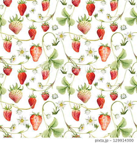 Strawberry berries leaves flowers hanging on vines tendrils creepers, ripe garden pineberry strasberry. Isolated hand drawn watercolor seamless pattern tile. Wallpaper, food packaging, textile cover 129914300