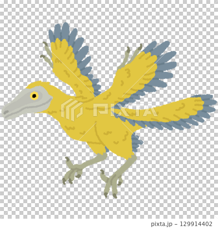 始祖鳥のイラスト 129914402