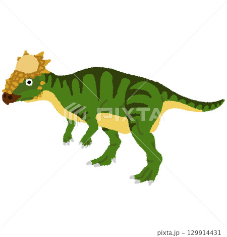パキケファロサウルスのイラスト パキケファロサウルスのイラスト 129914431