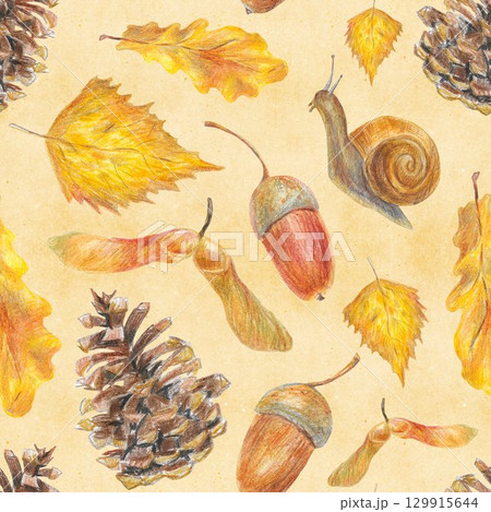 Hand drawn illustration with autumn items for graphic design. Autumn leaves, snail, cone, basket, mushrooms. Hand drawn colored pencil pattern on white background. 129915644