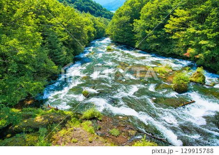栃木県日光市 奥日光の竜頭の滝(上流) 栃木県日光市 奥日光の竜頭の滝(上流) 129915788