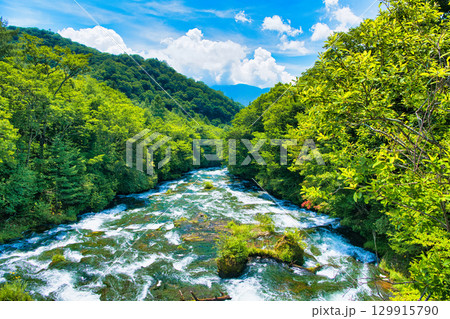 栃木県日光市 奥日光の竜頭の滝(上流) 栃木県日光市 奥日光の竜頭の滝(上流) 129915790
