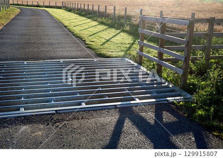 Cattle Grid at the Entrance to a Farm Access Road on a Summer Evening Cattle Grid at the Entrance to a Farm Access Road on a Summer Evening 129915807