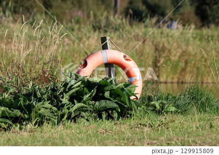 Life Preserver Ring Situated at an Inland Lakeside Location 129915809
