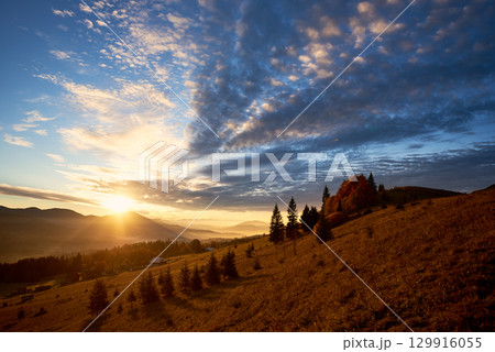 Sun rises over mountains, casting golden rays across landscape. Sky filled with dramatic clouds, creating stunning contrast with clear blue above. Warm light illuminates rolling hills and pine trees. 129916055