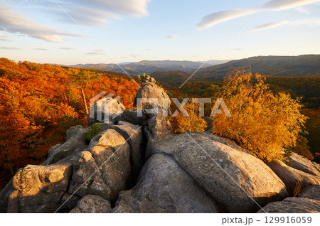 Golden-hued birch tree stands against backdrop of sunlit rocks and autumn forest. Vibrant foliage glows warmly under evening sky, with fluffy clouds. Dovbush Rocks, Carpathian mountains, Ukraine. Golden-hued birch tree stands against backdrop of sunlit rocks and autumn forest. Vibrant foliage glows warmly under evening sky, with fluffy clouds. Dovbush Rocks, Carpathian mountains, Ukraine. 129916059