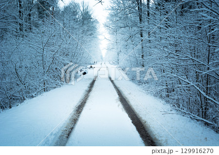 A fabulous winter view of a snow-covered road with car wheel tracks in the forest. 129916270