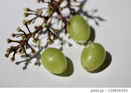 実を外したシャインマスカットの房と粒ブドウ 129916305