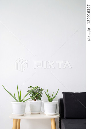 Three green potted plants on white table next to black sofa. 129916397