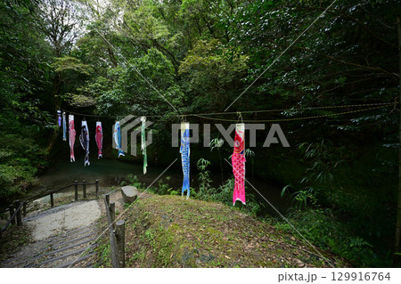 大出水の湧水の美しい森と川 129916764