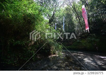 透明度の高い川が流れる大出水の湧水 透明度の高い川が流れる大出水の湧水 129916775