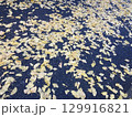 都会のアスファルトを彩る銀杏のイエロー 129916821