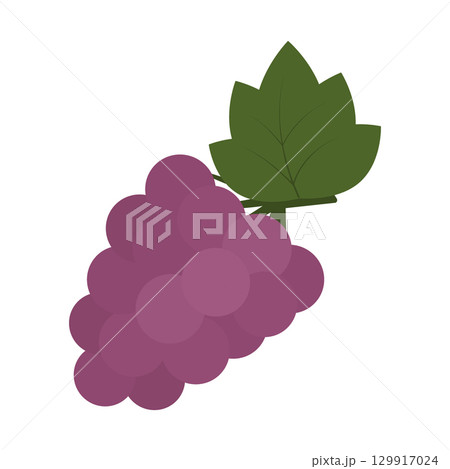 Purple Grapes Bunch with green leaves Sticker Icon Pictogram Autumn Harvesting Design element idea 129917024