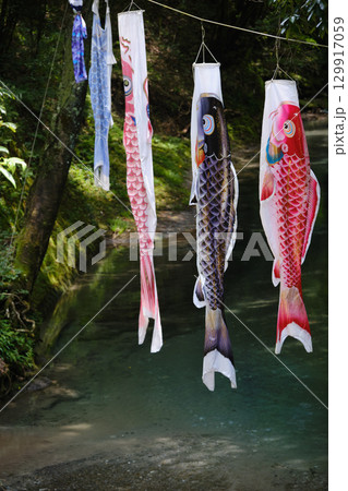 鯉のぼりと大出水の湧水 129917059