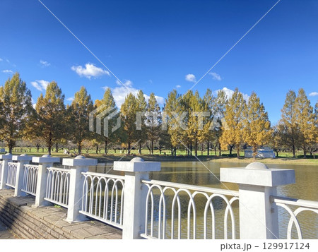 川越水上公園の秋風景 129917124