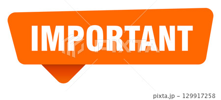 important sticker. important orange sign isolated on transpatent background 129917258