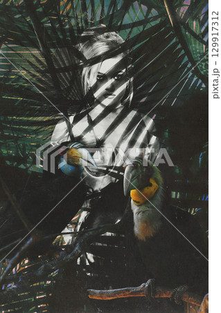 Beautiful woman with shining corset standing in jungles abstract collage portrait Beautiful woman with shining corset standing in jungles abstract collage portrait 129917312