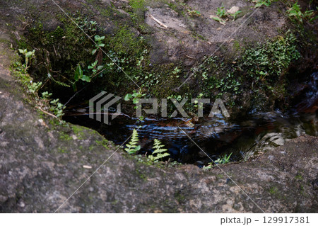 川の溜水 川の溜水 129917381