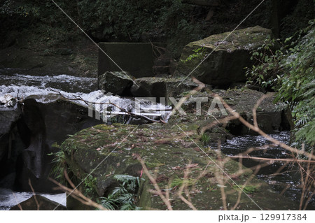 幕末の関吉の疎水溝の自然風景 幕末の関吉の疎水溝の自然風景 129917384