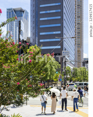 都会に咲いた百日紅の花と交差点の風景 都会に咲いた百日紅の花と交差点の風景 129917415